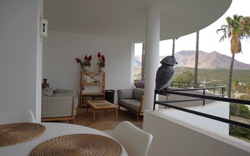 Property slide 2