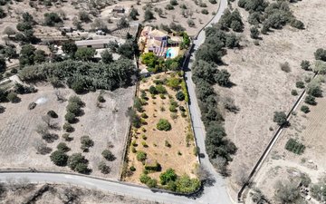 Property slide 43