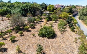 Property slide 41
