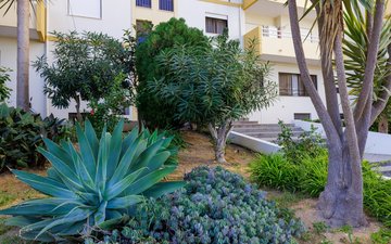 Property slide 19