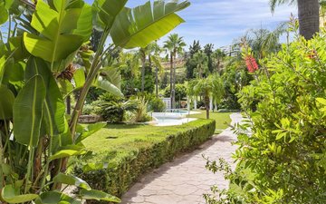 Diapositiva 22 de la propiedad