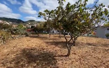 Property slide 4