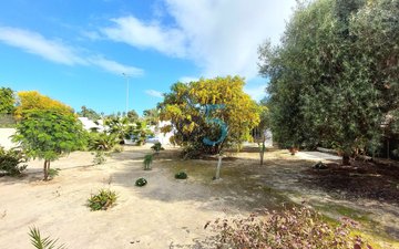 Property slide 31