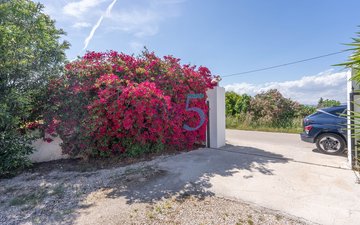 Property slide 31
