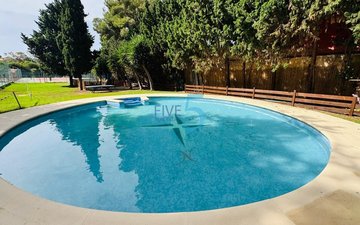 Property slide 31