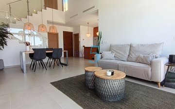 Property slide 13