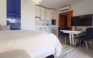 Property slide 12