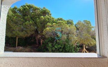Property slide 25