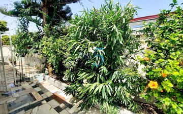Property slide 31