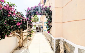 Property slide 38