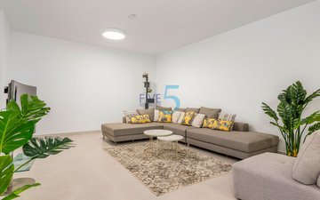 Property slide 41