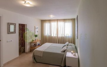 Property slide 31