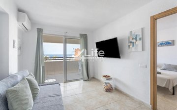 Property slide 11