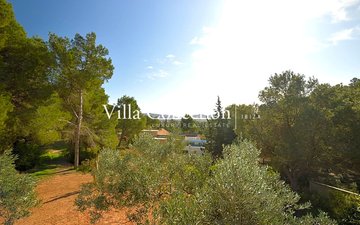 Property slide 24