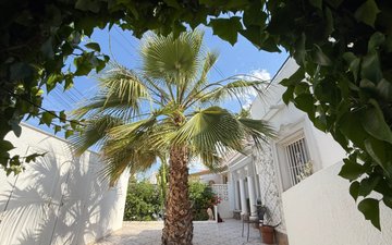 Property slide 21