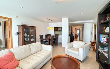 Property slide 11
