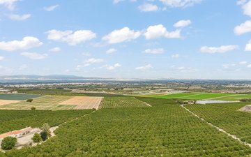 Property slide 31