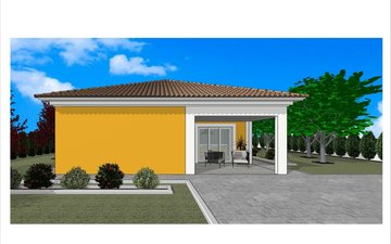Property slide 13