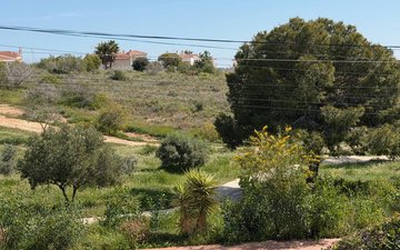 Property slide 30