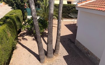 Property slide 17