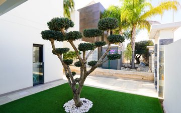 Property slide 39