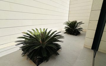Property slide 35