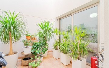 Property slide 18