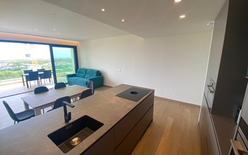 Property slide 19