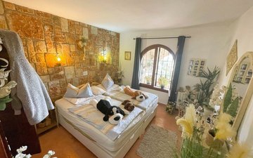 Property slide 13