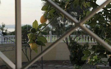 Property slide 40