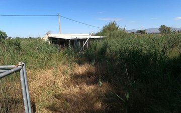 Property slide 42