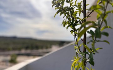 Property slide 16
