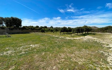 Property slide 29