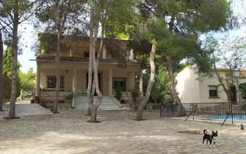 Property slide 46