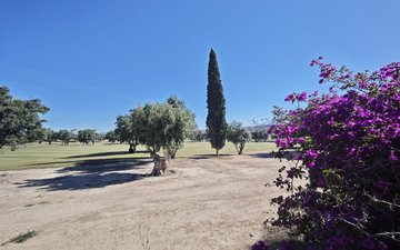 Property slide 28