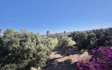 Property slide 34