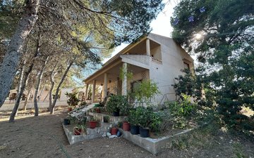 Property slide 42