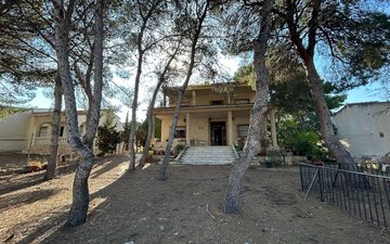Property slide 43