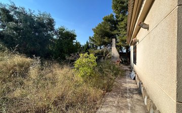Property slide 48
