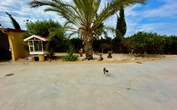 Property slide 14