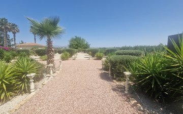 Property slide 26