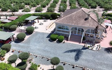 Property slide 31