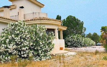 Property slide 1