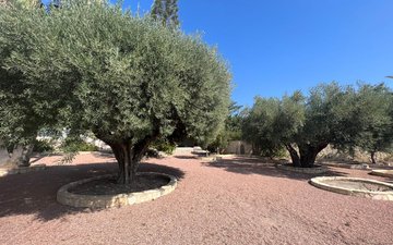 Property slide 25