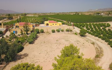 Property slide 41