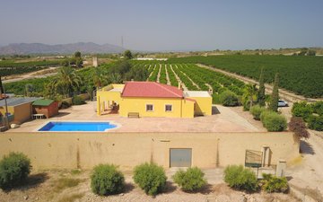 Property slide 42