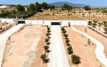Property slide 21
