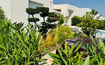 Property slide 17