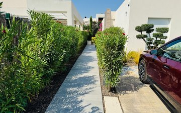 Property slide 22