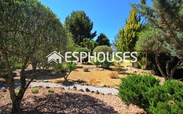 Property slide 19